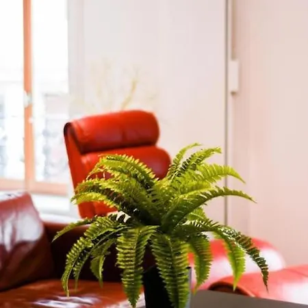 Centre : F3 Neuf Appartement